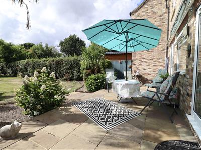Picture 8